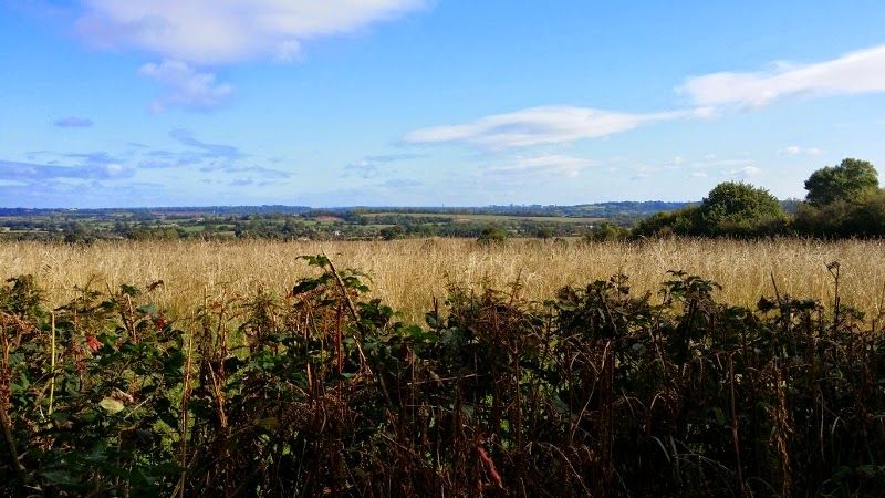 South Staffordshire Countryside